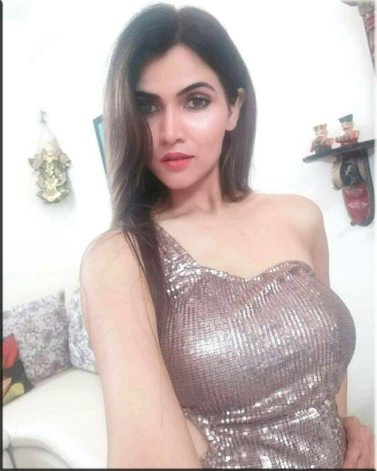 Nehru Enclave  Call Girls